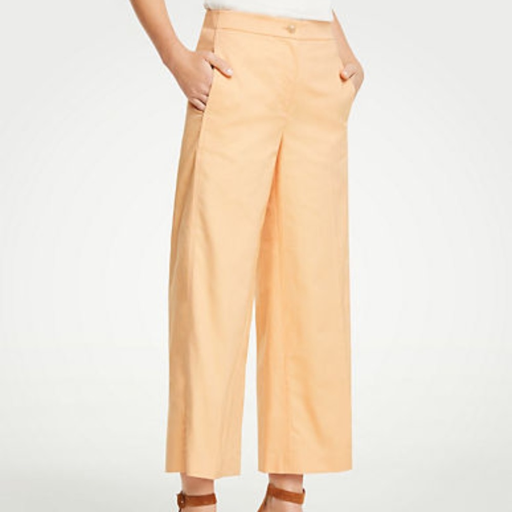 Ann Taylor Orange Wide Leg Marina Cropped Pant 6